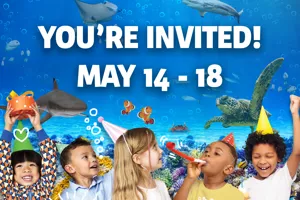 Event Page 15Th Birthday