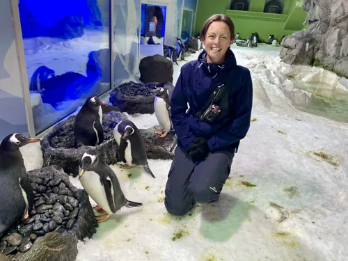 Laura smiling with nesting Gentoo Penguins