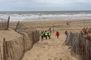 Beach Clean
