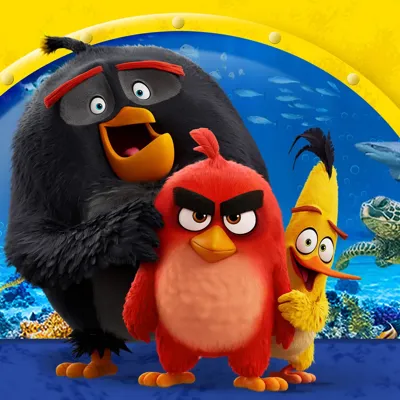 Angery Birds 3
