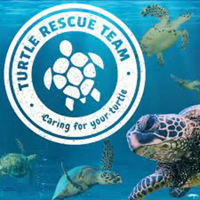 Turtle Rescue