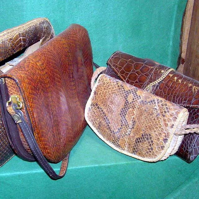 800Px Bristol zoo croc skin handbag