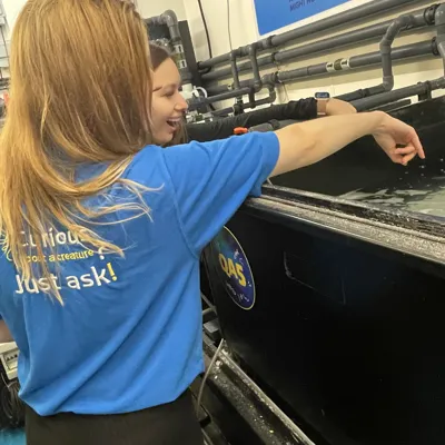 Beyond The Surface Tank