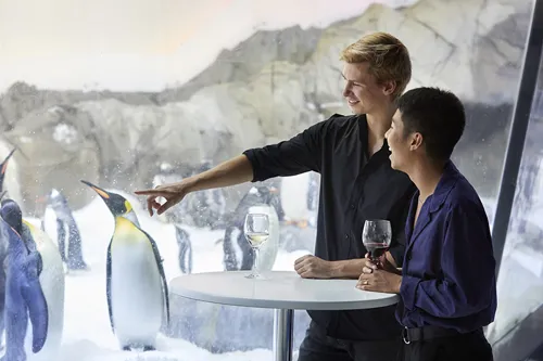 =’Rainy Day Date Ideas - Underwater Adventure at SEA LIFE Melbourne