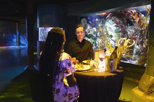 Drink cocktails at SEA LIFE Melbourne