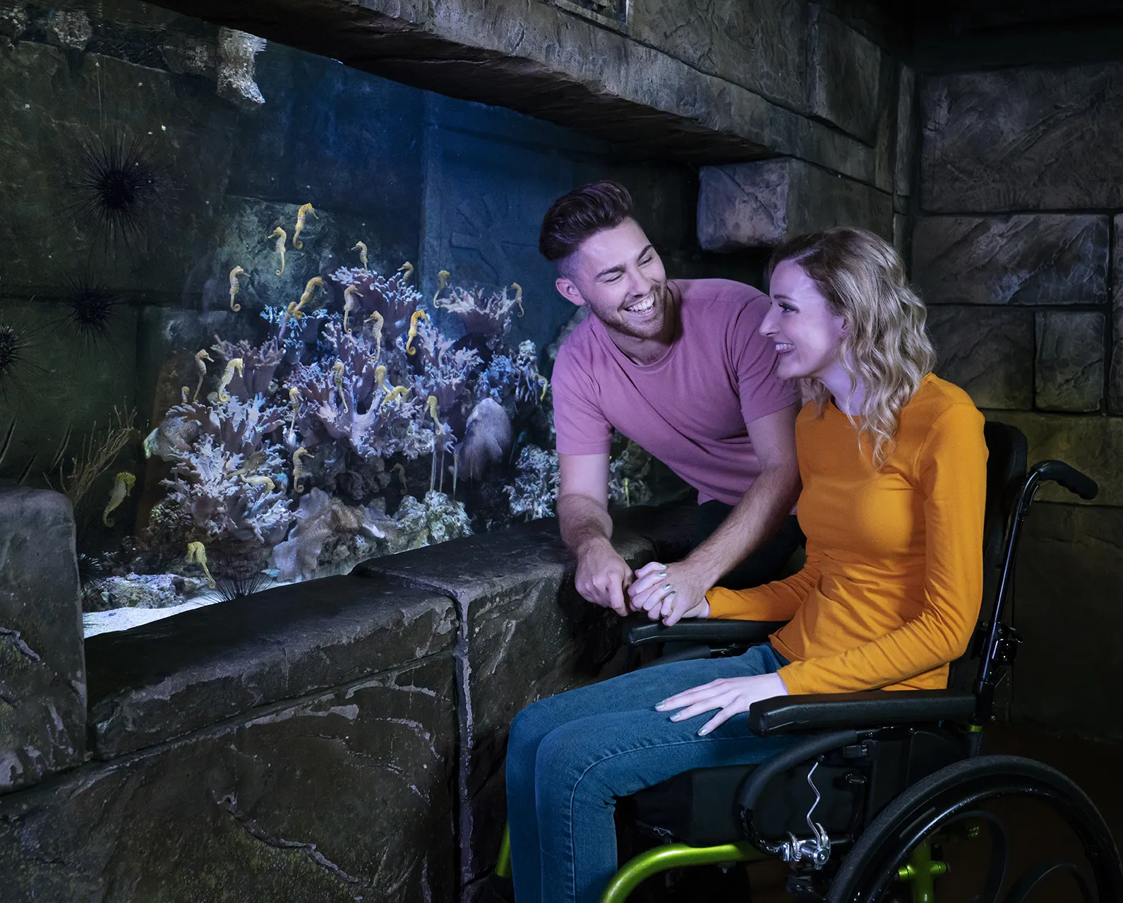SEA LIFE Wheelchair Accessibility