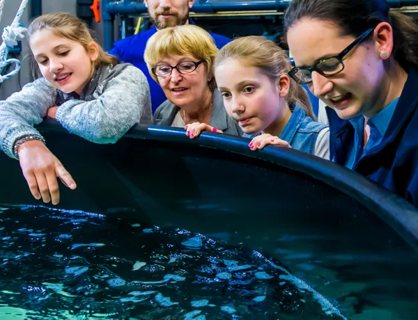 BTS Tour | SEA LIFE Michigan Aquarium