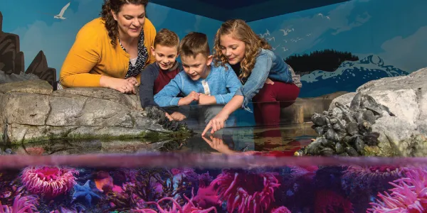 SEA LIFE Membership | SEA LIFE New Jersey Aquarium