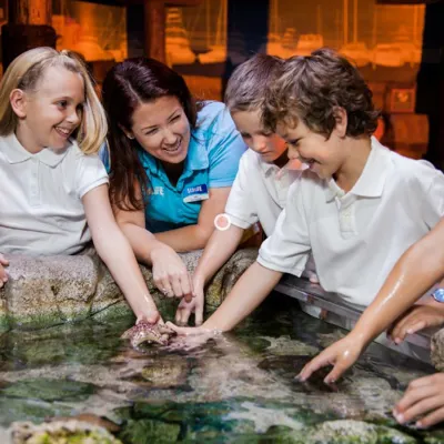 Rockpool Img