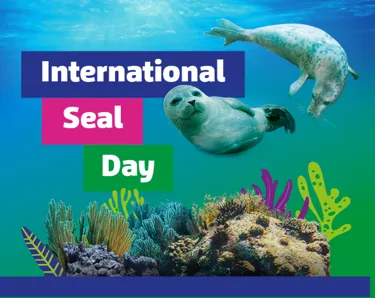 Seal Day Placeholder