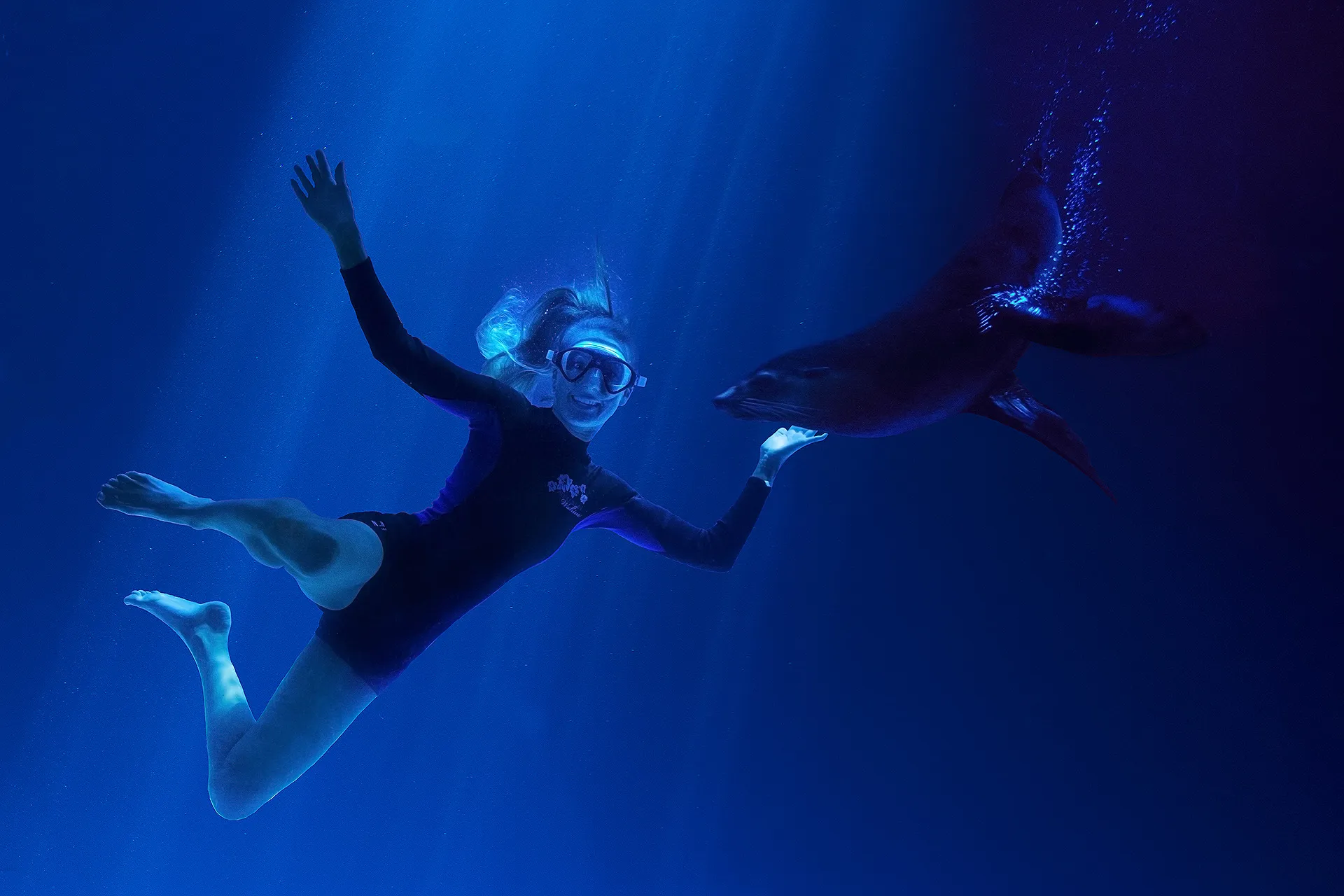 Girl Swim with Seal at SEA LIFE Sunshine Coast
