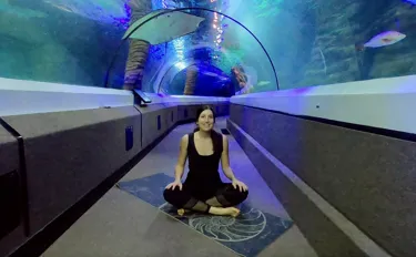 Yoga 3