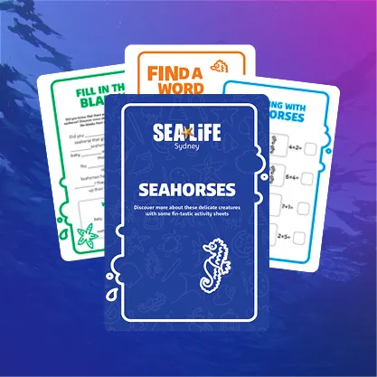 ACTIVITY BOOKLET IMAGES2
