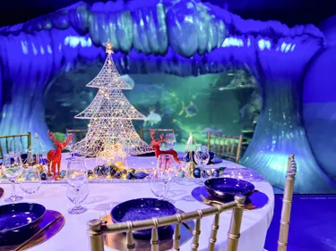 Christmasataquarium2 Light