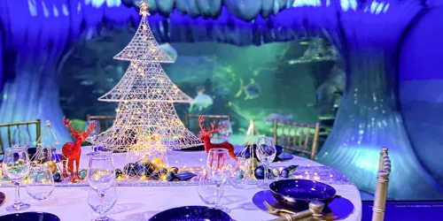 Christmasataquarium2 Light
