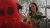 Angry Birds