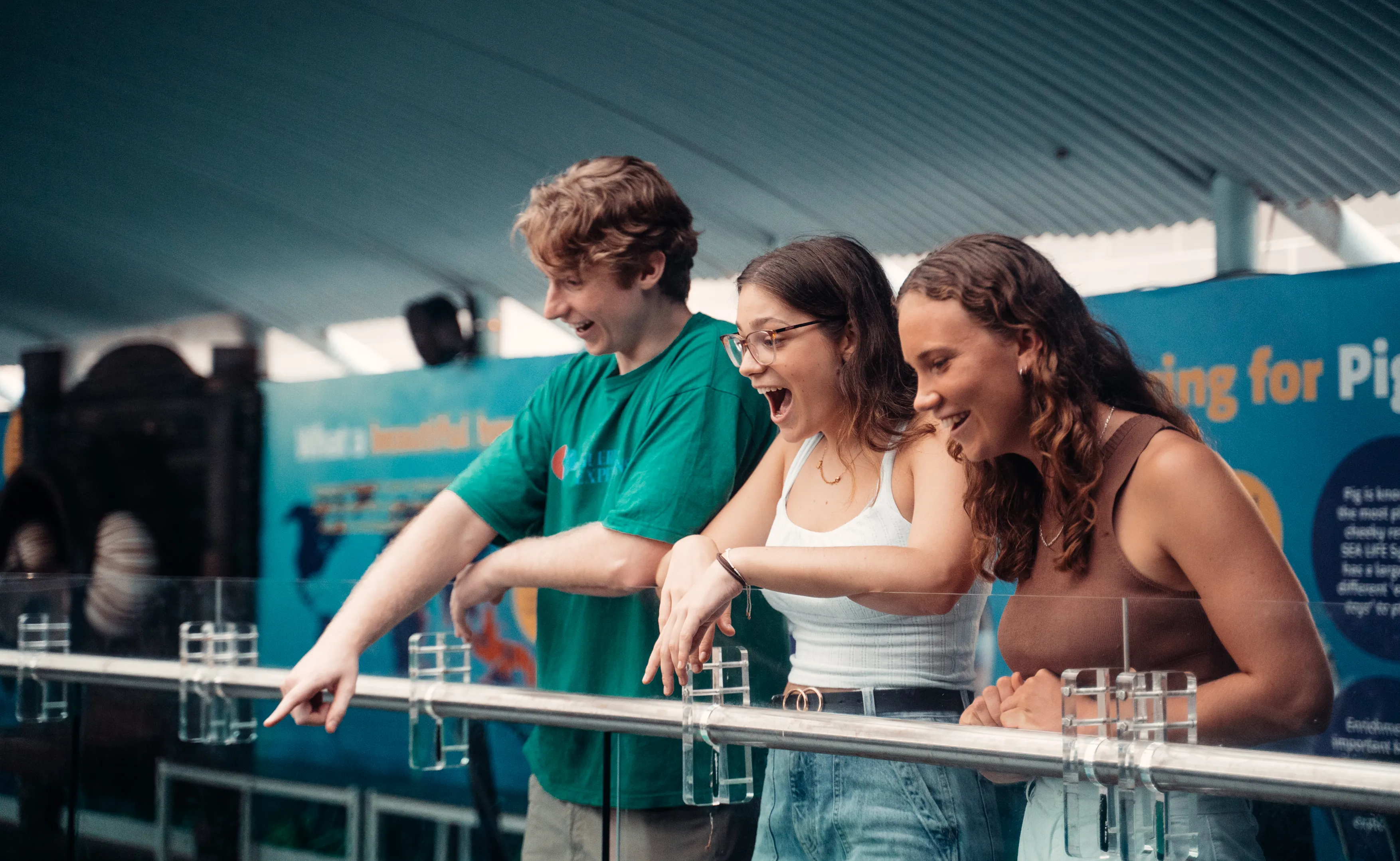 friends-sealifesydney