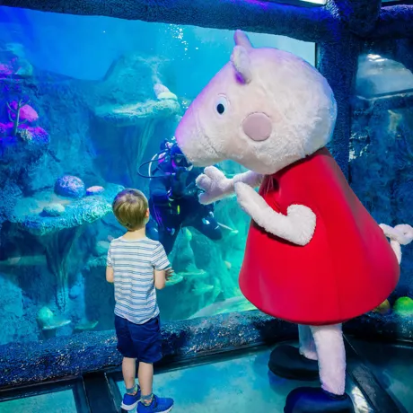 Peppa Pig
