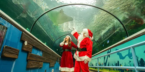 Christmas Experience Gift Ideas in Sydney