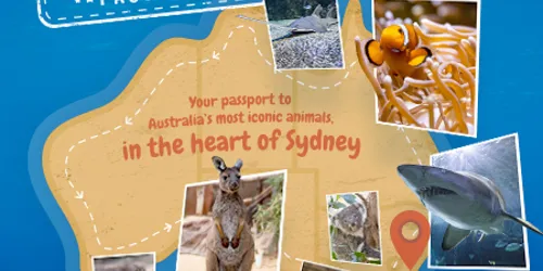Auspassport WLS Newsblock 450X442px