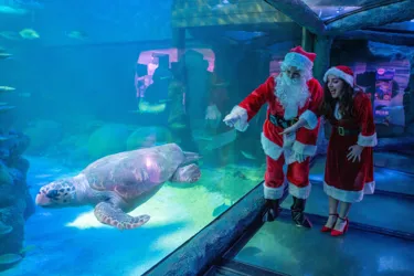 Mr&Mrsclaus Sealifesydney1