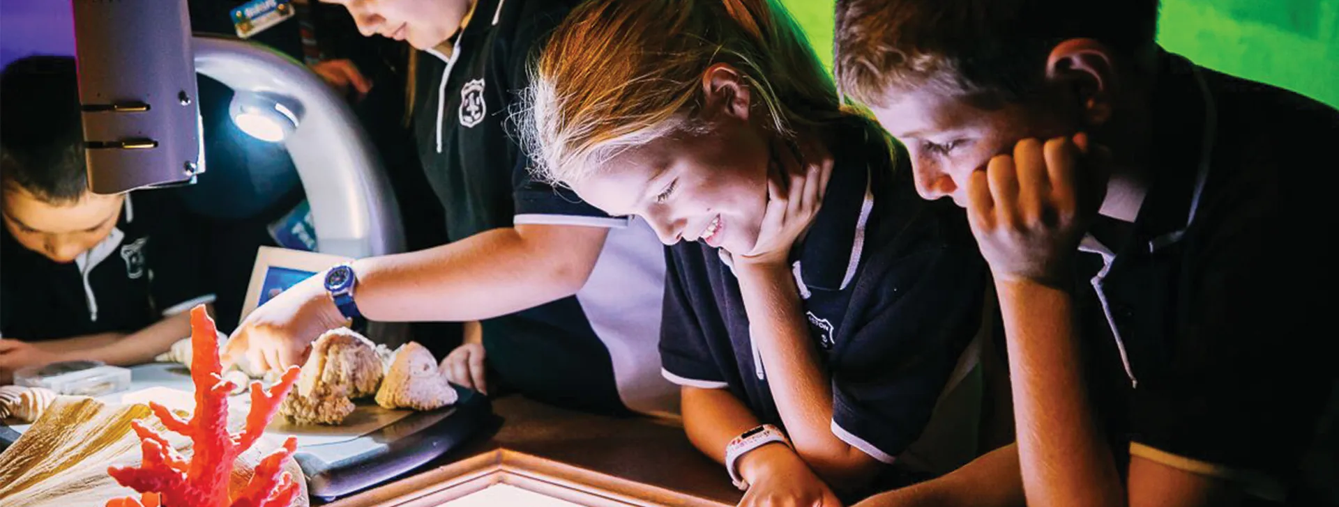 Schools Darwin's Lab