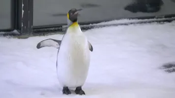 Ep 2