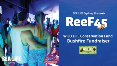 Reef45